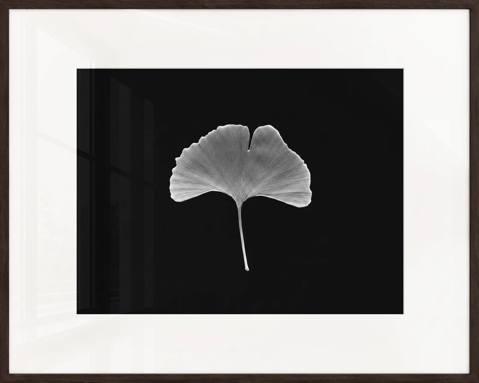A Ginko frame in solid walnut, wide cream mat, real glass.